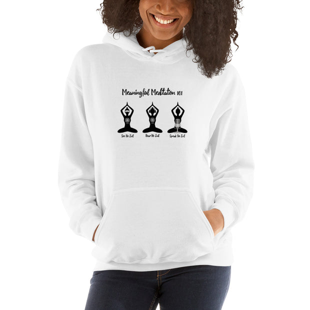 Meditation 101  Hoodie Sweatshirt (multiple color options)