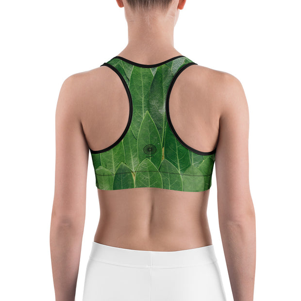 Eco Power Sports Bra